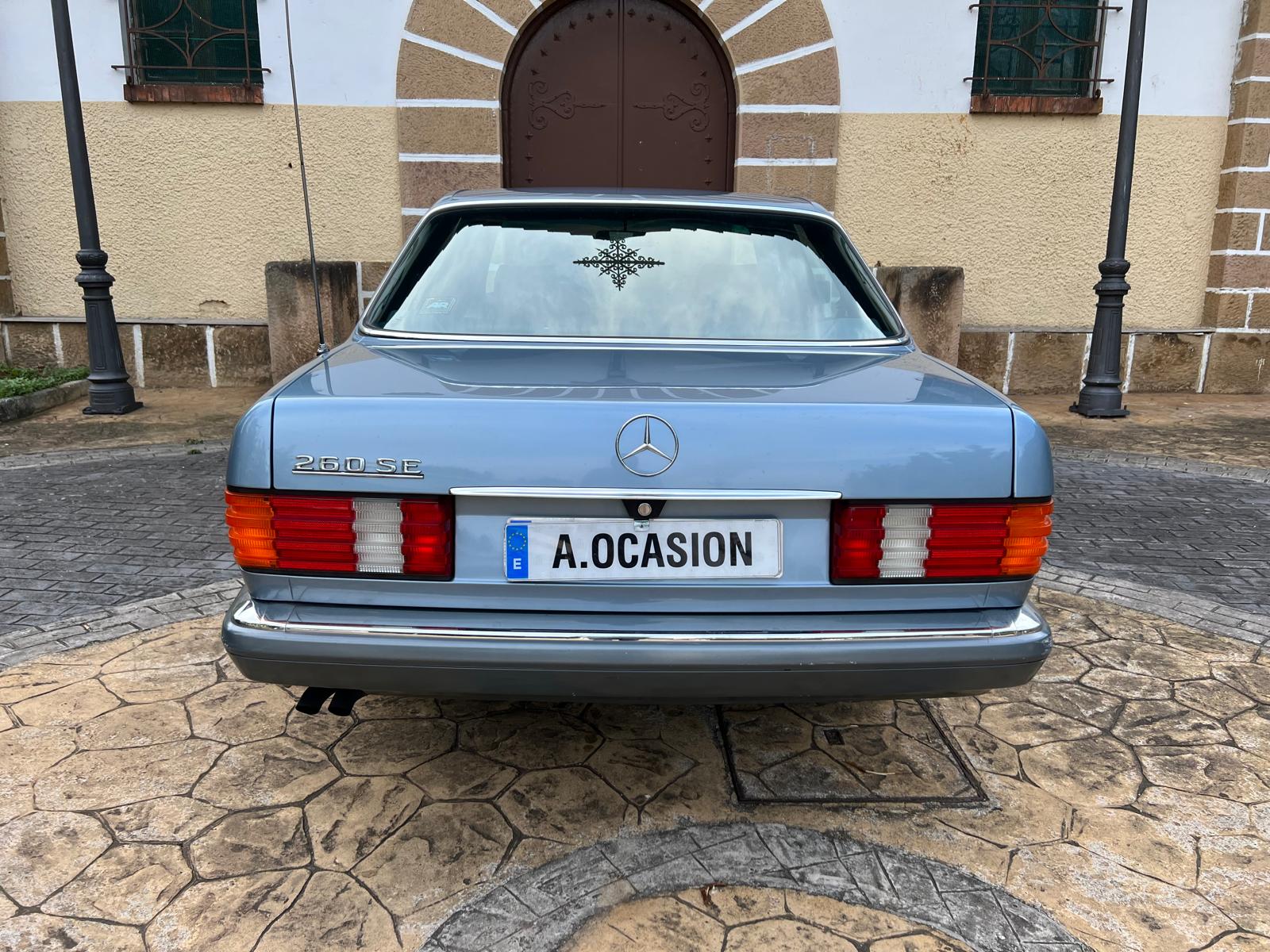 WhatsApp Image 2025-12-26 at 19.47.01S