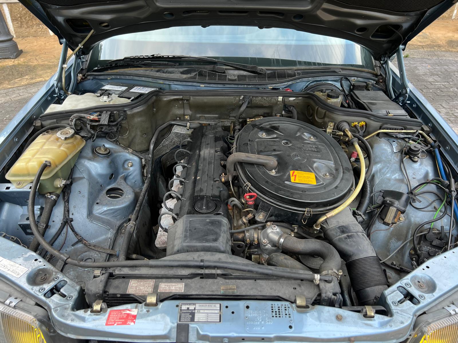 WhatsApp Image 2025-12-26 at 19.47.05EGG