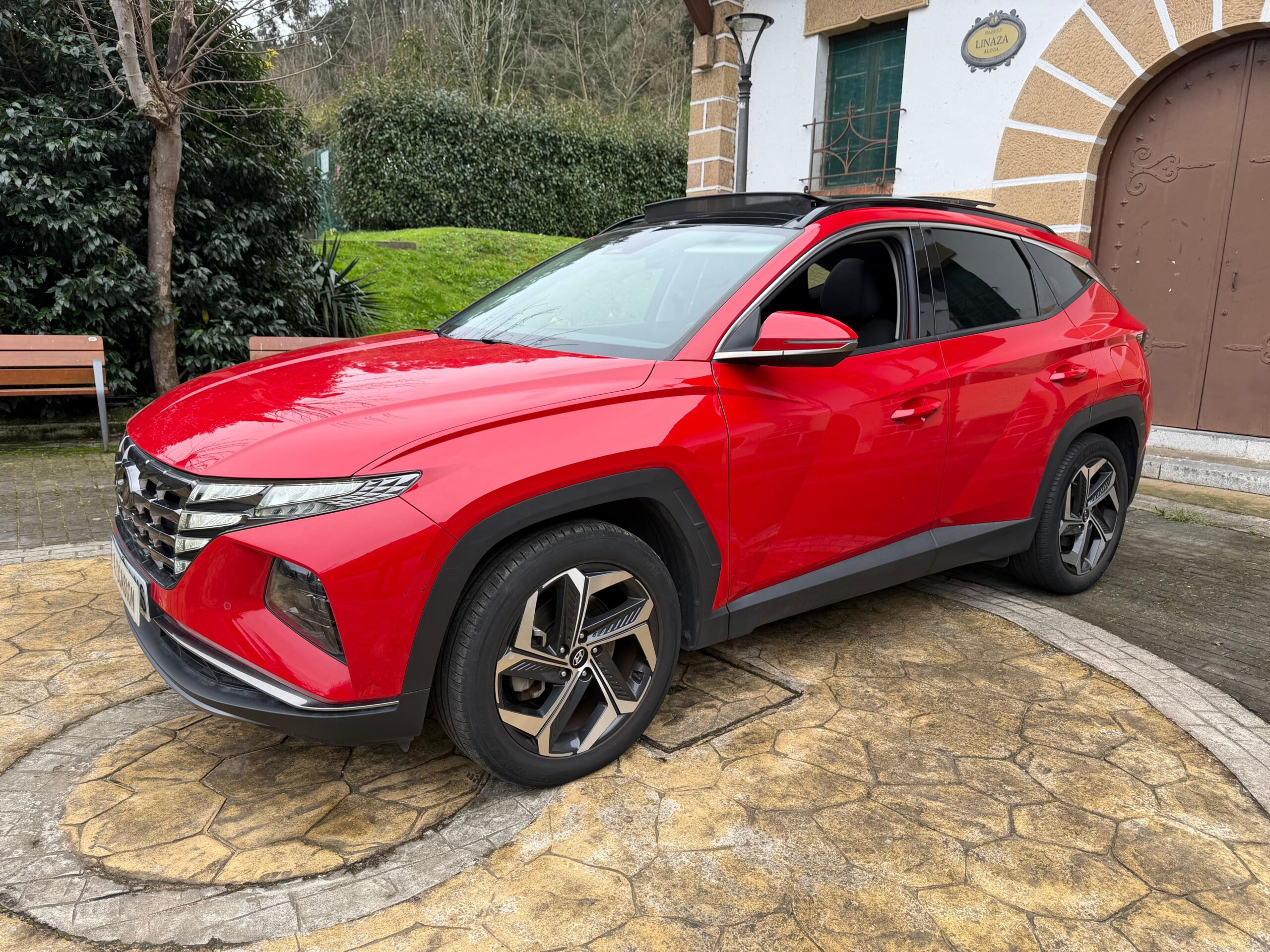 WhatsApp Image 2026-02-11 at 16.38.59w